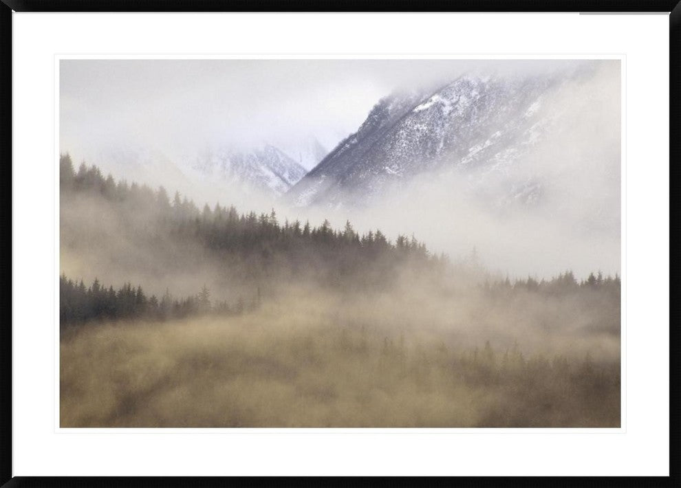 Fog In Old Growth Forest, Chilkat River Wilderness, Alaska, 42"x30"