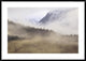 Fog In Old Growth Forest, Chilkat River Wilderness, Alaska, 42"x30"