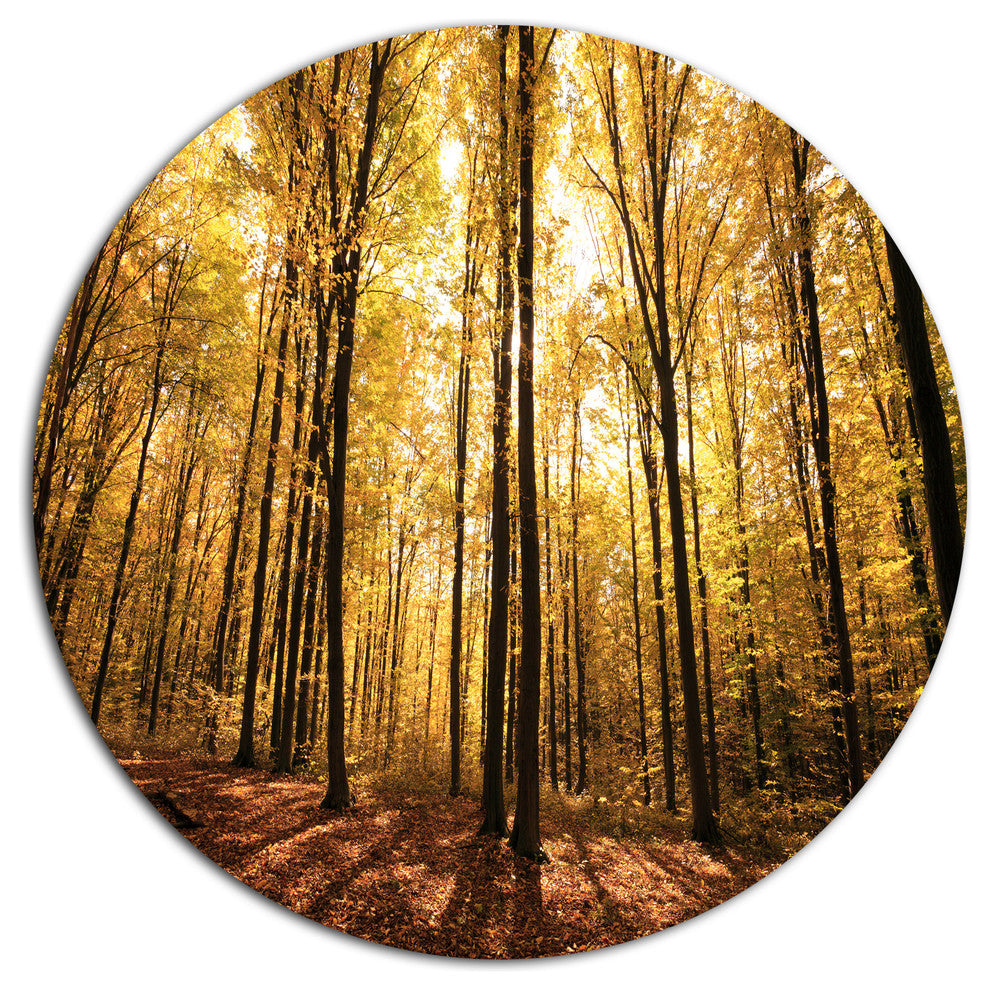 Setting Sun Over Dense Fall Forest, Modern Forest Round Wall Art, 36"