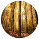 Setting Sun Over Dense Fall Forest, Modern Forest Round Wall Art, 36"