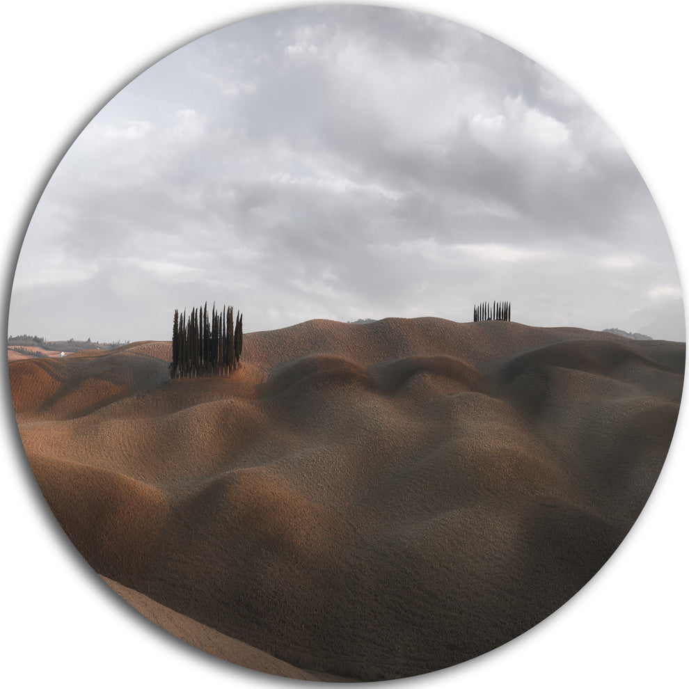 Cypress Grove At The Field Panorama, Landscape Round Wall Art, 11"