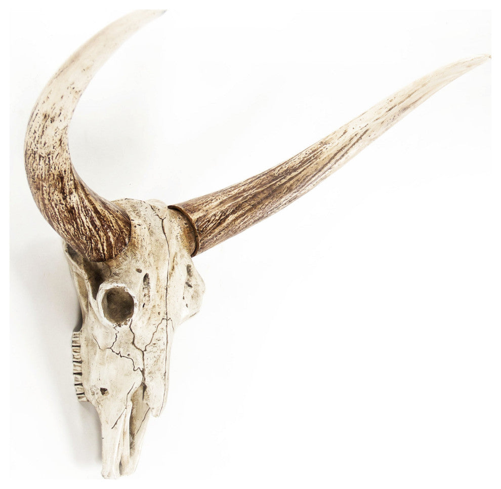 Bull Skull Wall Decor