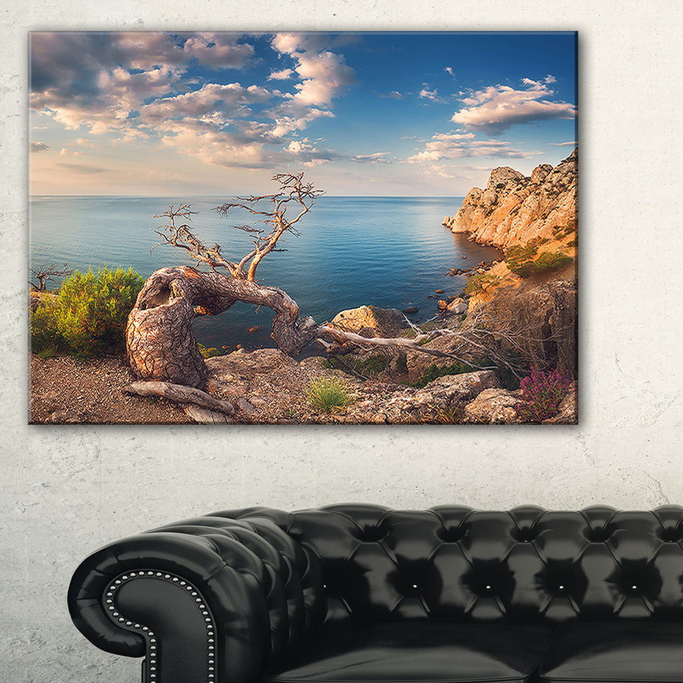 "Sunny Morning With Old Tree" Seashore Canvas Photo Print, 40"x30"