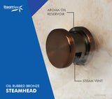 SteamSpa Indulgence Control Kit in Oil Rubbed Bronze
