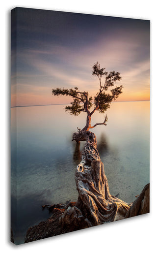 'Water Tree III' Canvas Art by Moises Levy