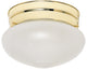 1 Light 6" Flush Mount Small Frosted Grape Mushroom
