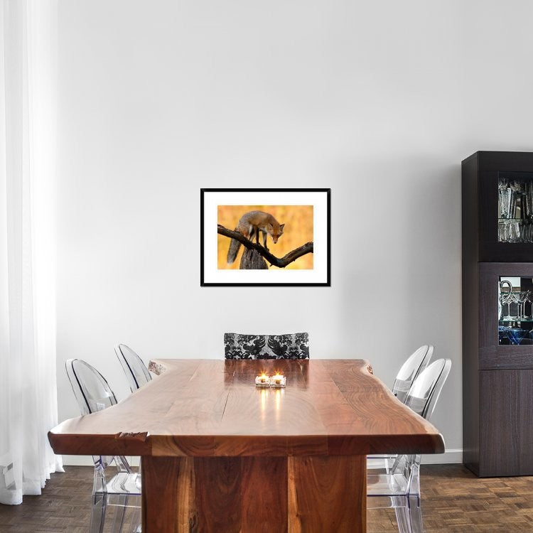 "With Blazing Eyes" Framed Digital Print by Csaba Tokolyi, 30x22"