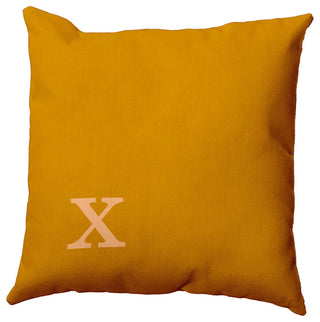 20"x20" Modern Monogram Decorative Throw Pillow, Autumn Gold