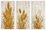 Harvest Wheat 3-Pc Canvas Fall Wall Art Set