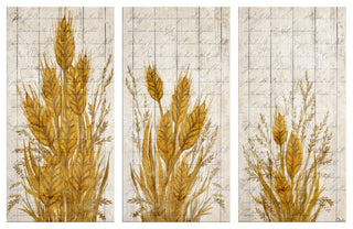 Harvest Wheat 3-Pc Canvas Fall Wall Art Set