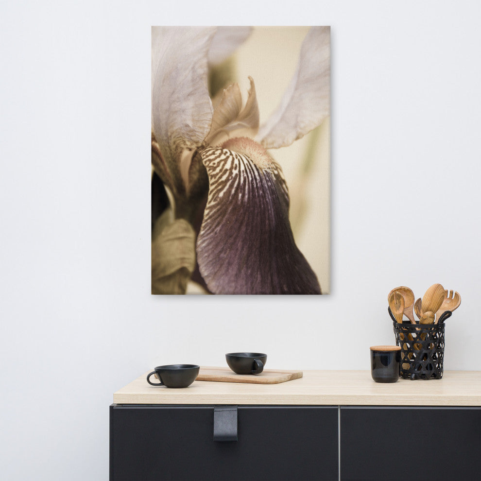 Japanese Iris Delight Aged Floral / Botanical Canvas Wall Art Print, 24" X 36"