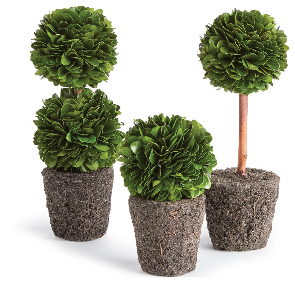 Boxwood Mini Topiary Drop-Ins, Set of 3