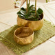 Set of 2 Elegant Free Form Textured Gold Planters Cachepots Round Organic Shape