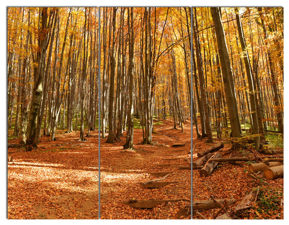 Colorful Fall Forest with Fallen Leaves, Forest Canvas Art, 36x28, 3 Panels