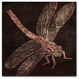Color Bakery 'Dragonfly' Canvas Art, 18"x18"