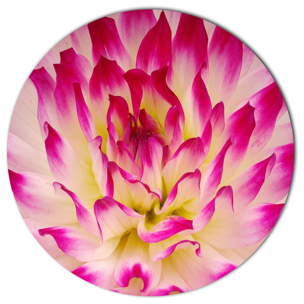 Smooth Purple White Flower Petals, Modern Floral Round Wall Art, 36"