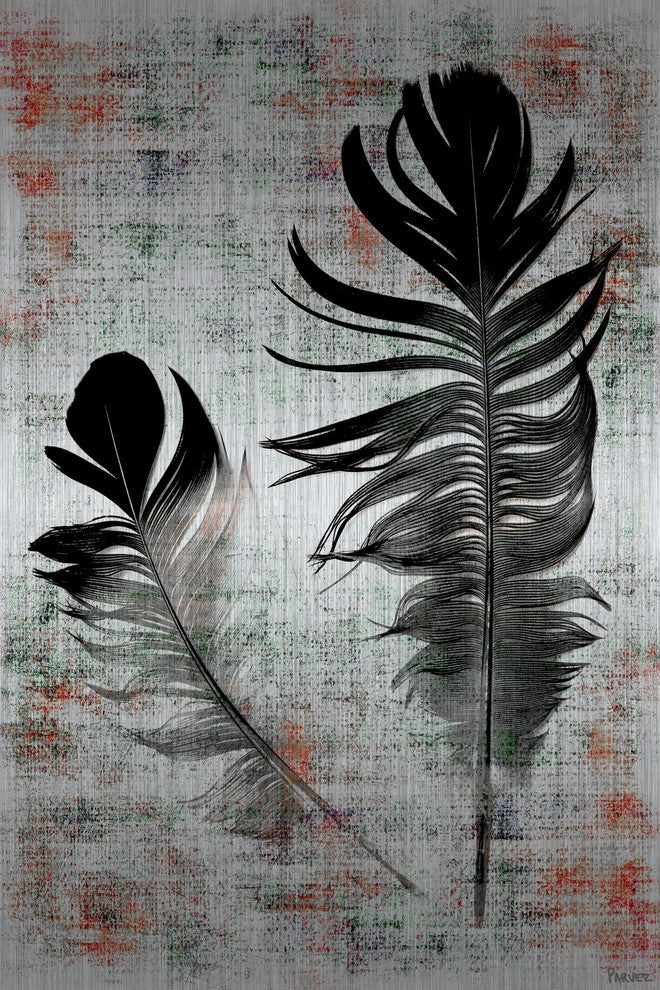 "Black Feathers" Print on Brushed Aluminum, 24"x36"