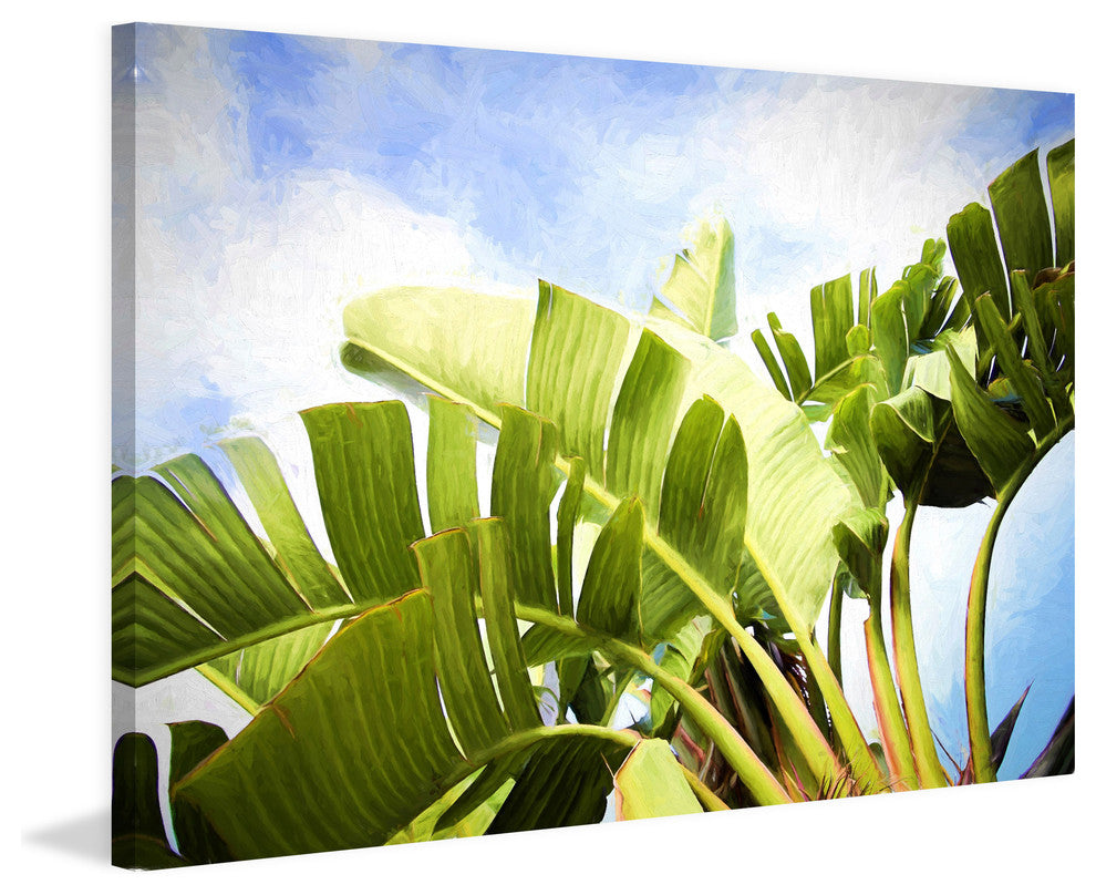 "Tropical Charm" by Sylvia Cook Painting Print Wrapped Canvas, 45x30