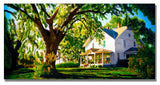 'Farm House' Canvas Art by Roderick Stevens