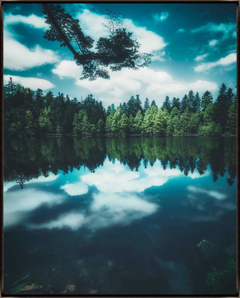 40x50 Reflection II, Framed Artwork, Espresso