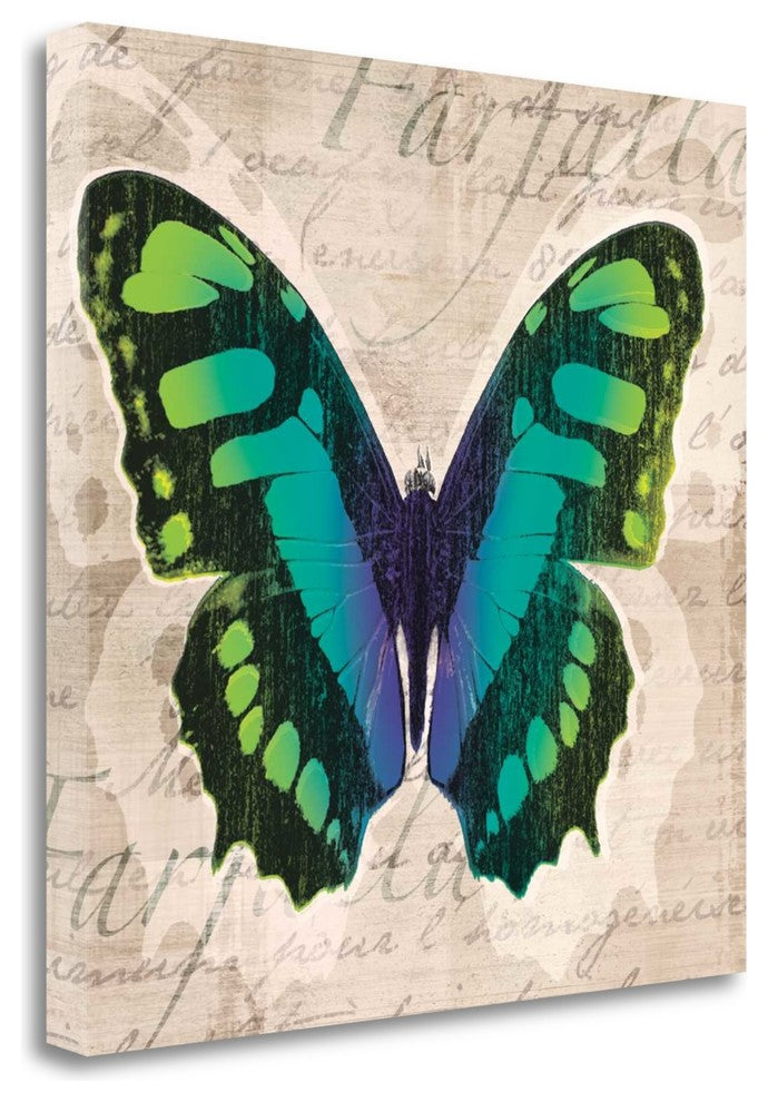 "Butterflies II" By Tandi Venter, Giclee Print on Gallery Wrap Canvas