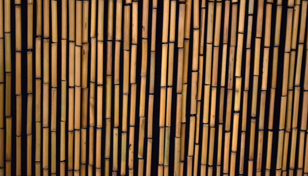 Natural Bamboo Curtain
