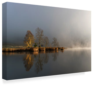 Tom Meier 'Foggy Morning Island' Canvas Art, 24"x16"