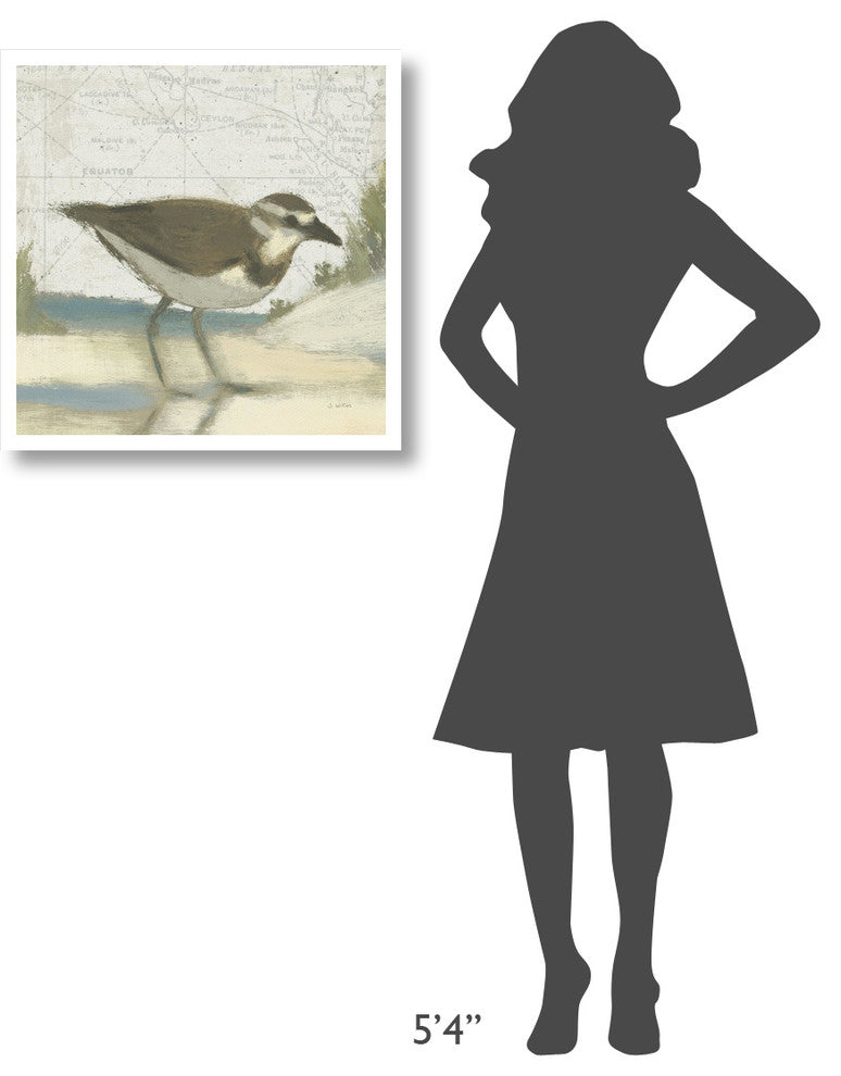 "Beach Bird III" Digital Paper Print by James Wiens, 26"x26"