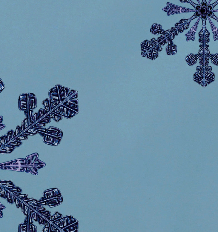 Vail, Holiday Print Placement, Light Blue, Set of 4
