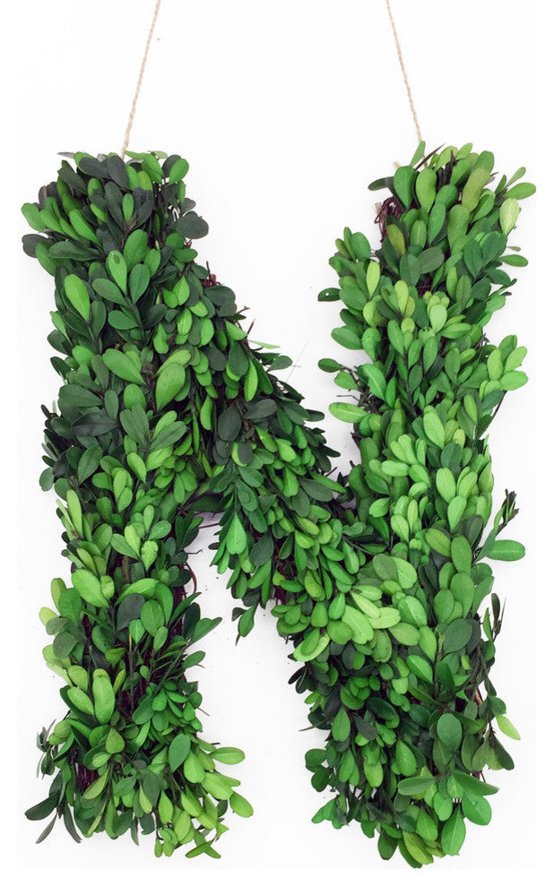 Modern Home 12" Real Preserved Boxwood Monogram Wreath Letters - N