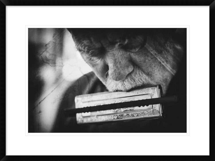 "Wolf With Harmonica"  by Roswitha Schleicher-Schwarz, 30x22"