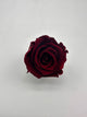 Regular Preserved Roses, Set of 8, Burgundy
