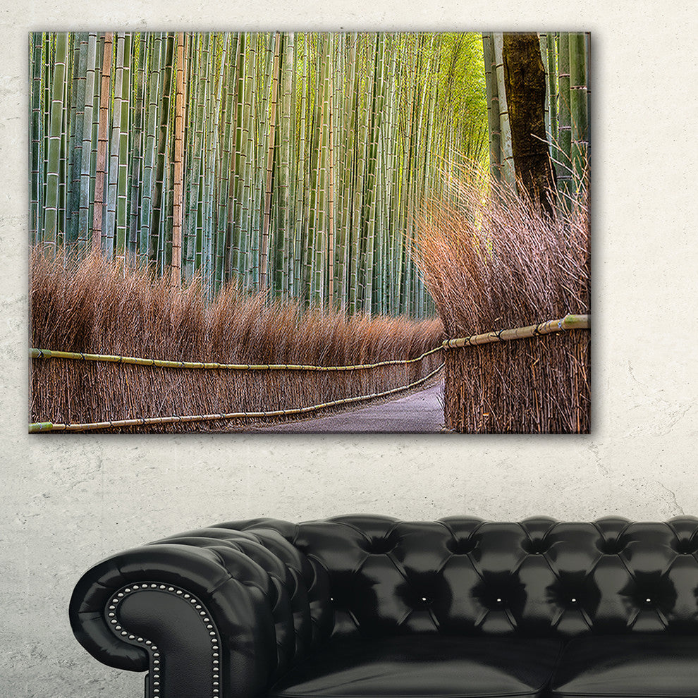 "Pathway Inside Bamboo Forest" Forest Canvas Wall Art Print, 1 Panel, 60"x28"
