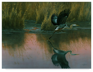 Wilhelm Goebel 'Evening Flight Great Blue Heron' Canvas Art, 32"x24"