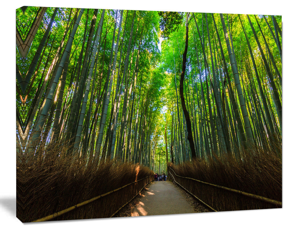 Road through Dense Bamboo Groves, Large Landscape Canvas Art, 60"x28"