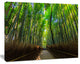 Road through Dense Bamboo Groves, Large Landscape Canvas Art, 60"x28"