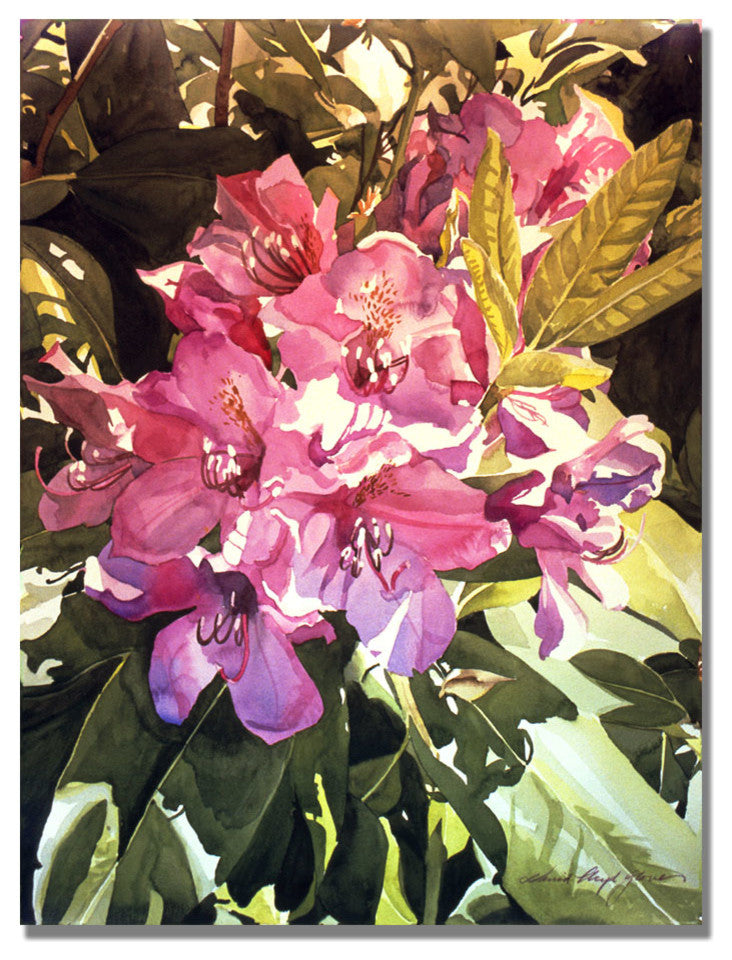 'Royal Rhododendrons' Canvas Art by David Lloyd Glover