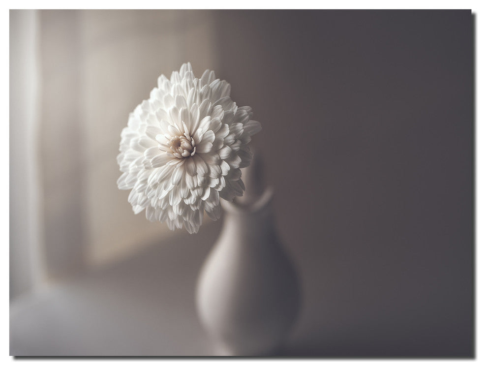 Indoor/Outdoor Wall Decor 'Window Light' in ArtPlexi, 20"x3
