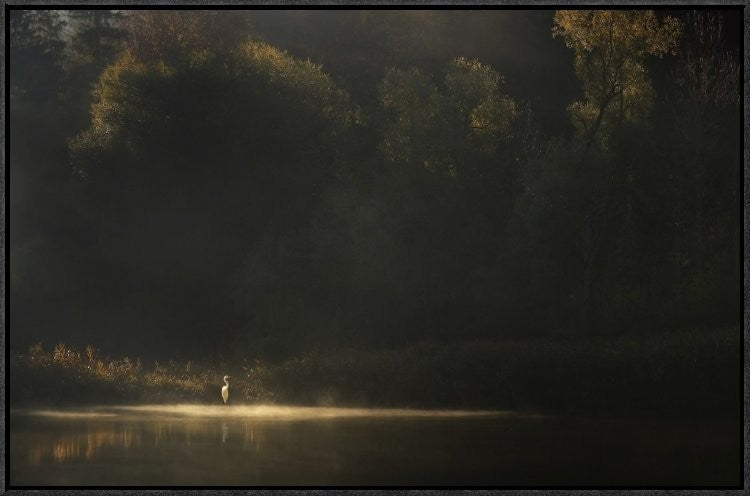 "Down By The River" Framed Canvas Giclee by Norbert Maier, 31x21"