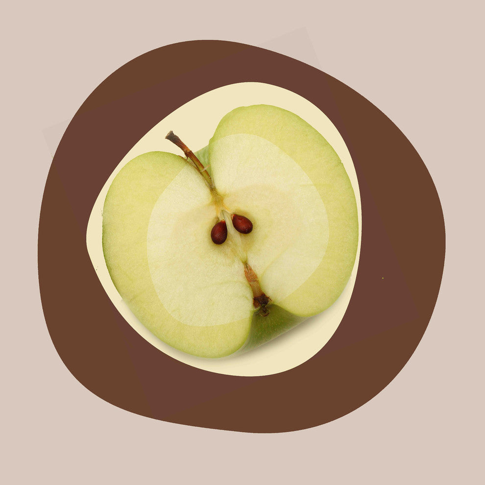 "September Apple" Painting Print on Canvas by Irena Orlov
