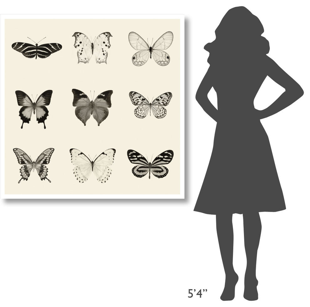 "Butterfly - BW 9 Patch" Digital Paper Print by Debra Van Swearingen, 42"x42"