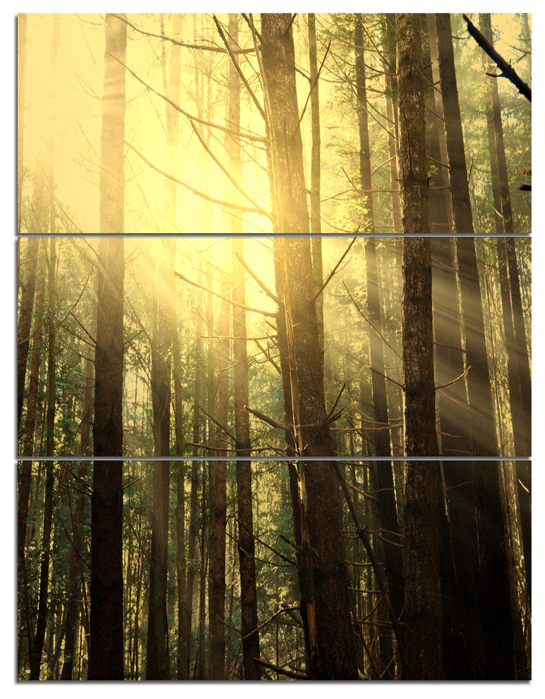 Dense Green Sunny Forest, Landscape Triptych Canvas Art Print, 28x36, 3 Panels