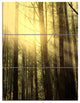 Dense Green Sunny Forest, Landscape Triptych Canvas Art Print, 28x36, 3 Panels