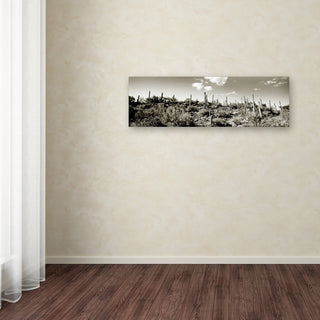 'Desert' Canvas Art by Preston