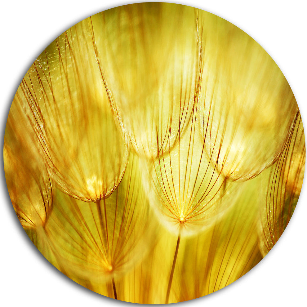 Soft Yellow Dandelion Flowers, Floral Photography Round Wall Art, 11"