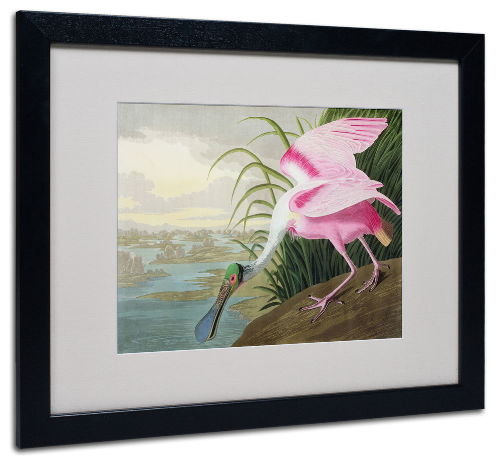 'Roseate Spoonbill' Matted Framed Canvas Art by John James Audubon