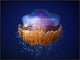 Fried Egg Jellyfish, 40"x30"