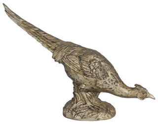 Grazing Long Tailed Arturo Pheasant Accent