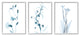 Aesthetic Minimalist Blue Botanical Floral Design, 3pc, each 11 x 14
