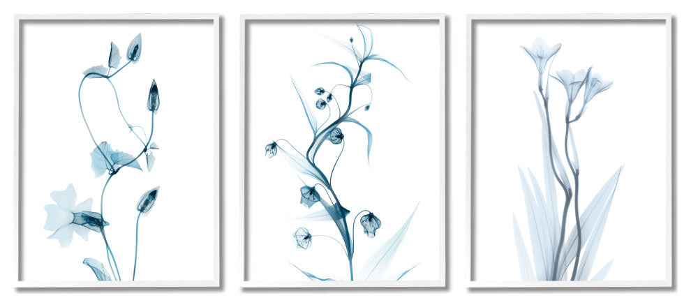 Aesthetic Minimalist Blue Botanical Floral Design, 3pc, each 11 x 14